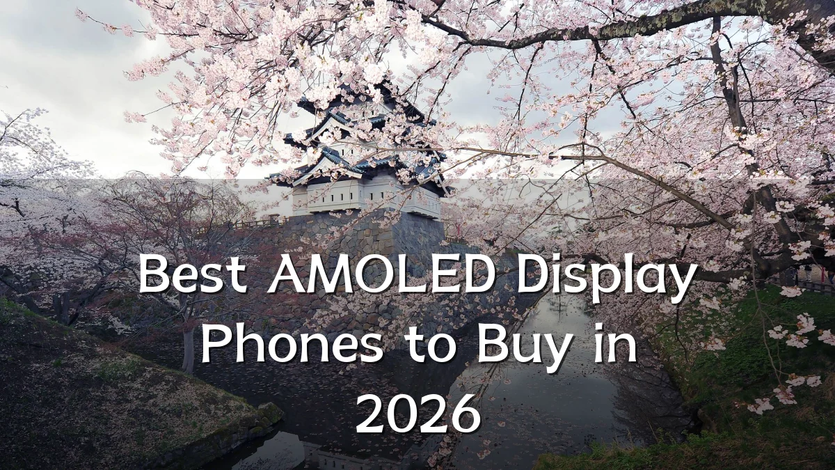 Best AMOLED Display Phones to Buy in 2026