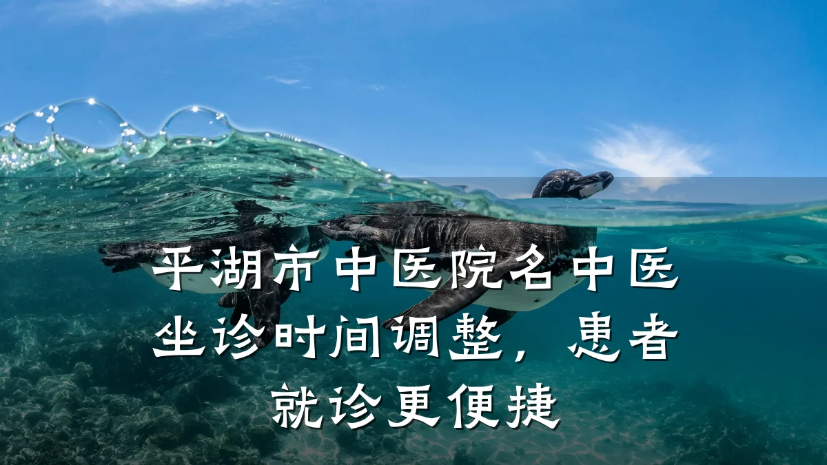 平湖市中医院名中医坐诊时间调整，患者就诊更便捷