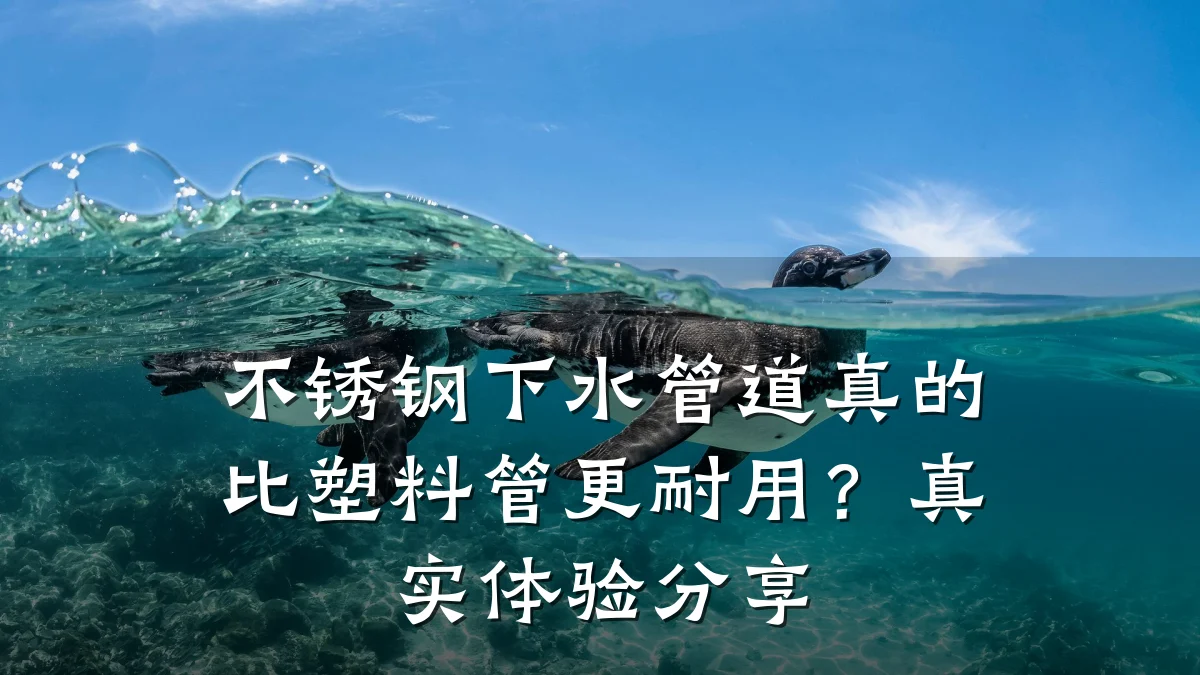 不锈钢下水管道真的比塑料管更耐用？真实体验分享