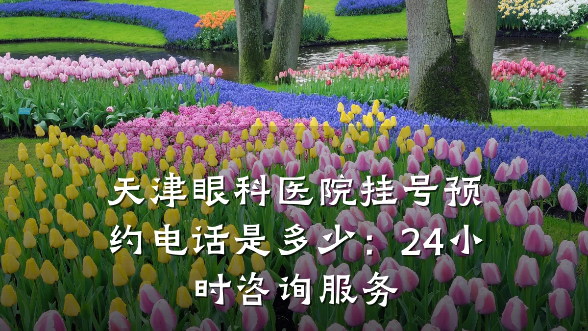 天津眼科医院挂号预约电话是多少:24小时咨询服务