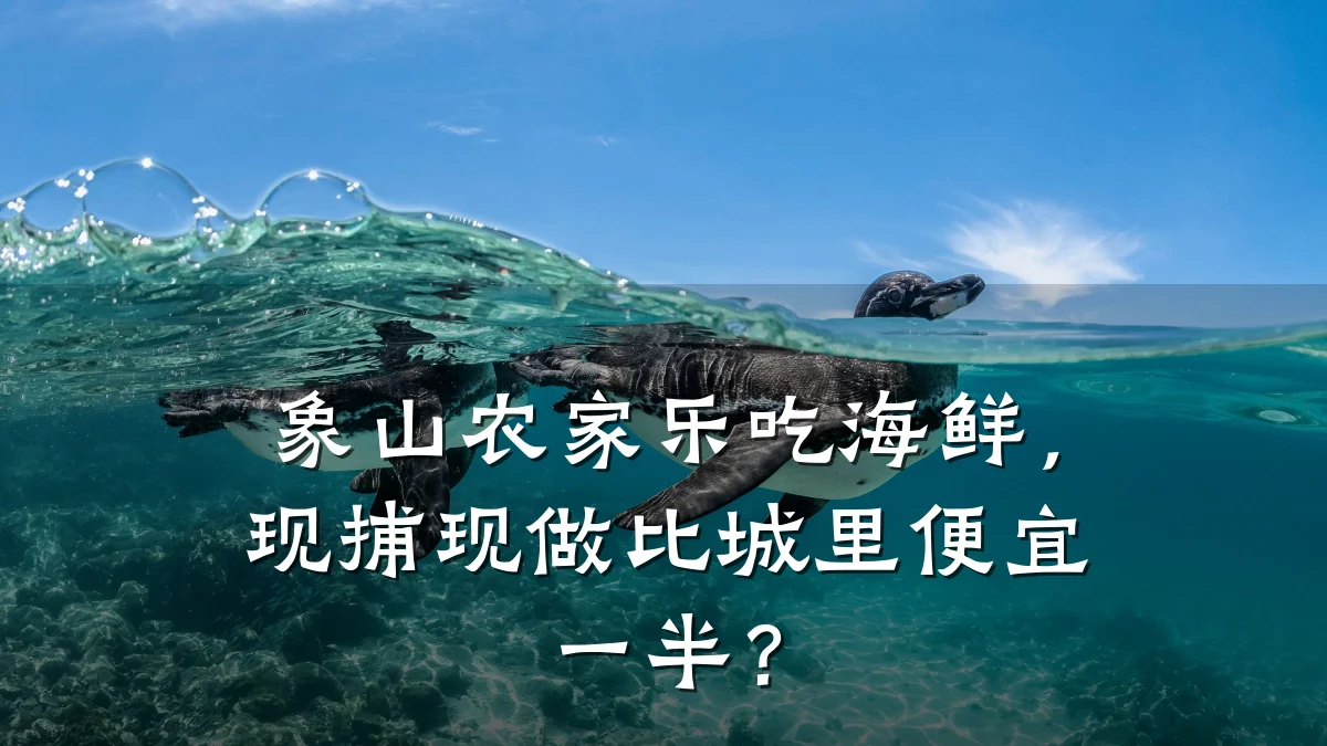 象山农家乐吃海鲜，现捕现做比城里便宜一半？