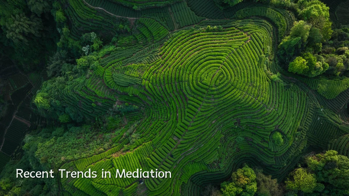 Recent Trends in Mediation