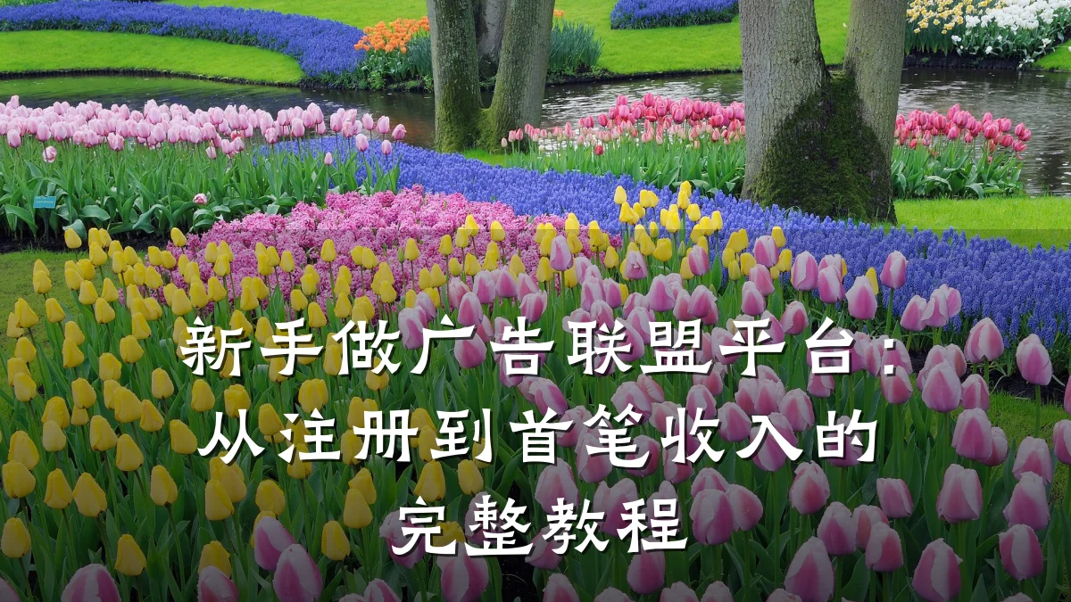 新手做广告联盟平台:从注册到首笔收入的完整教程