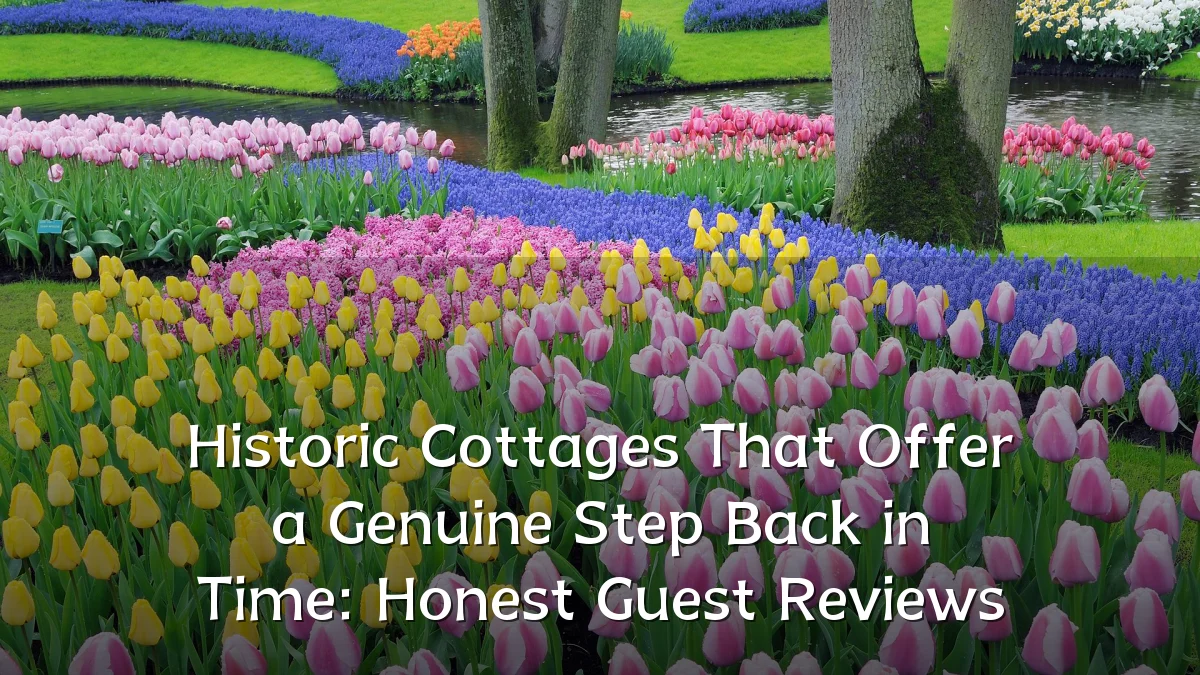 Historic Cottages That Offer a Genuine Step Back in Time: Honest Guest Reviews