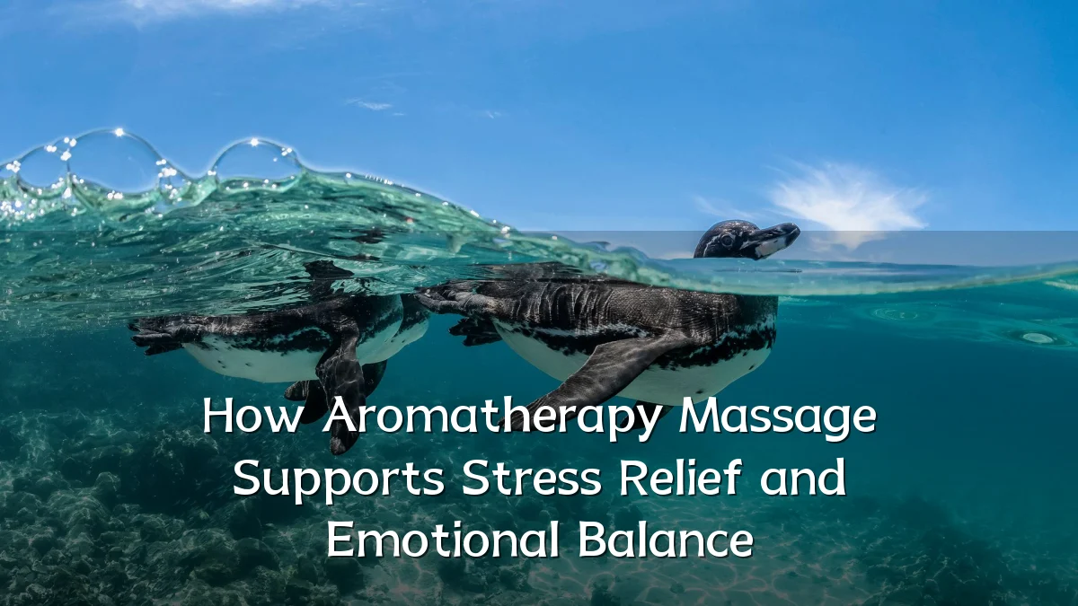 How Aromatherapy Massage Supports Stress Relief and Emotional Balance