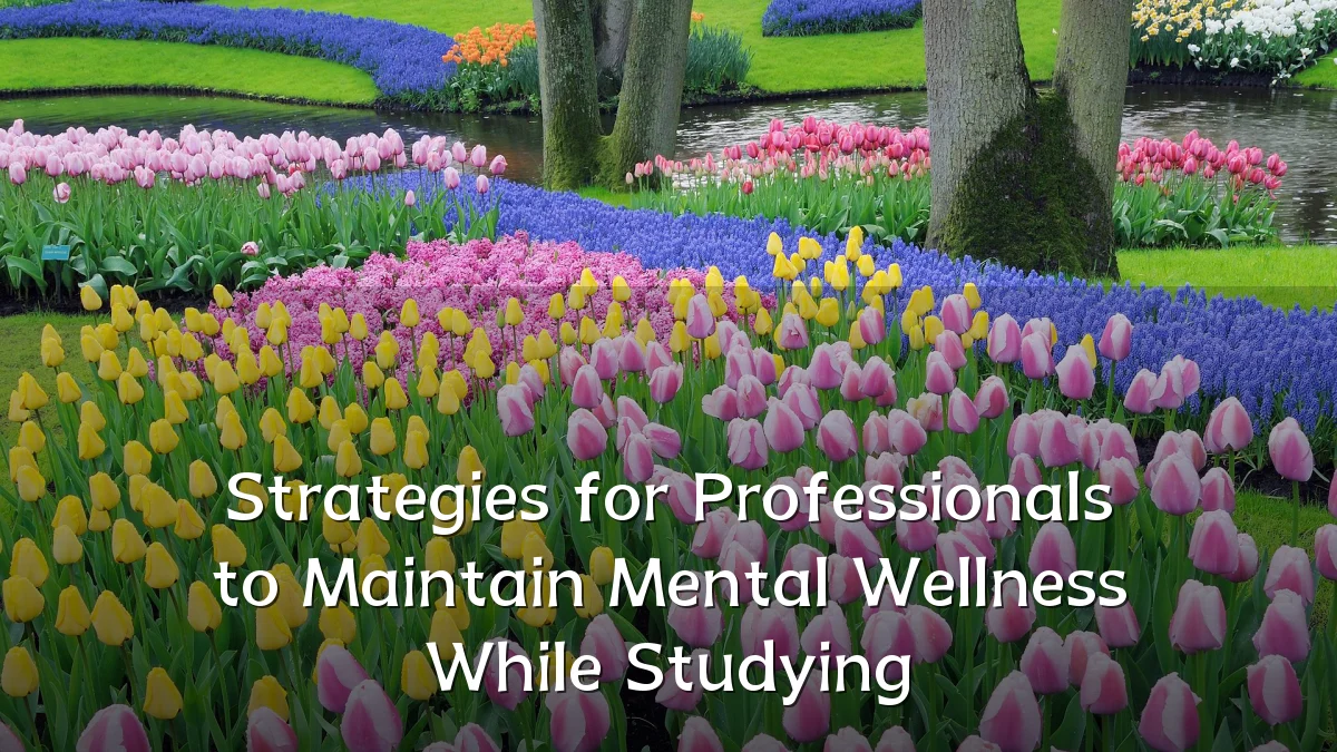 Strategies for Professionals to Maintain Mental Wellness While Studying