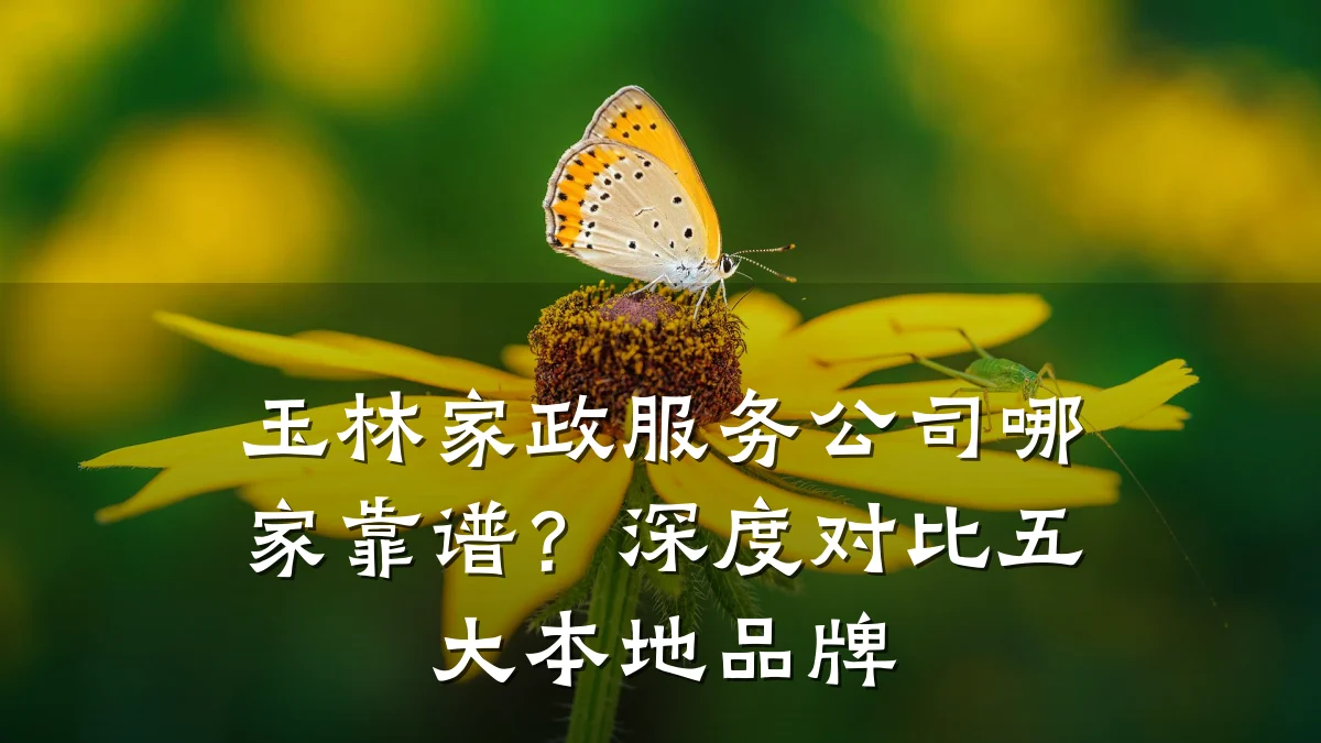 玉林家政服务公司哪家靠谱?深度对比五大本地品牌