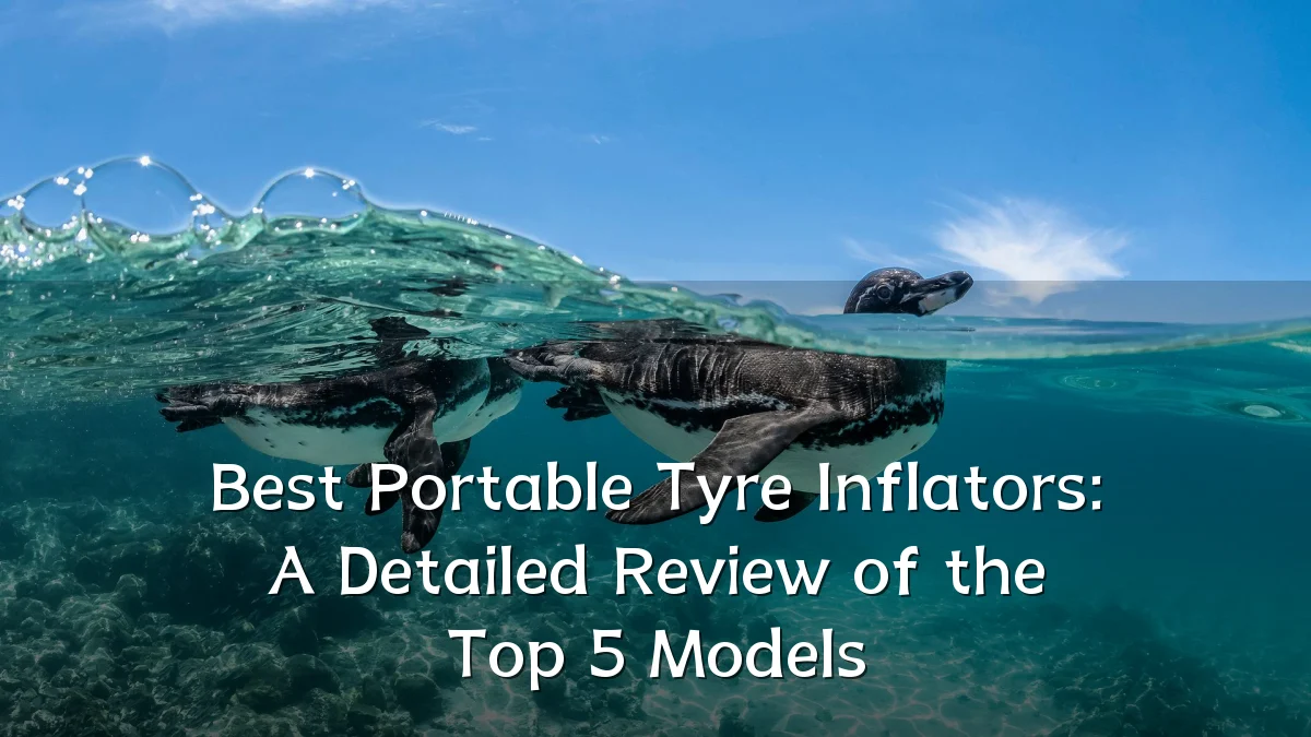 Best Portable Tyre Inflators: A Detailed Review of the Top 5 Models