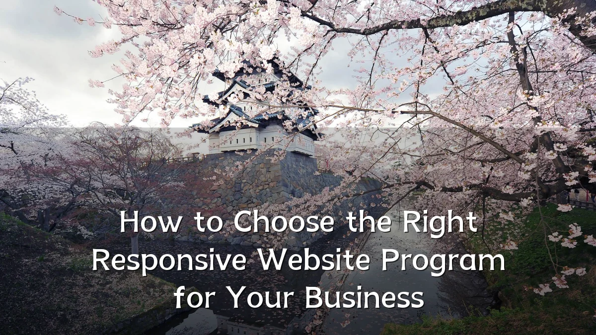 How to Choose the Right Responsive Website Program for Your Business