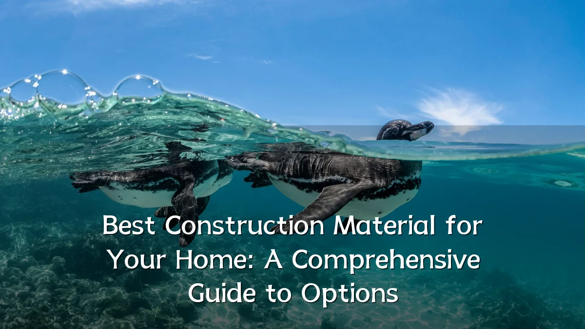 Best Construction Material for Your Home: A Comprehensive Guide to Options