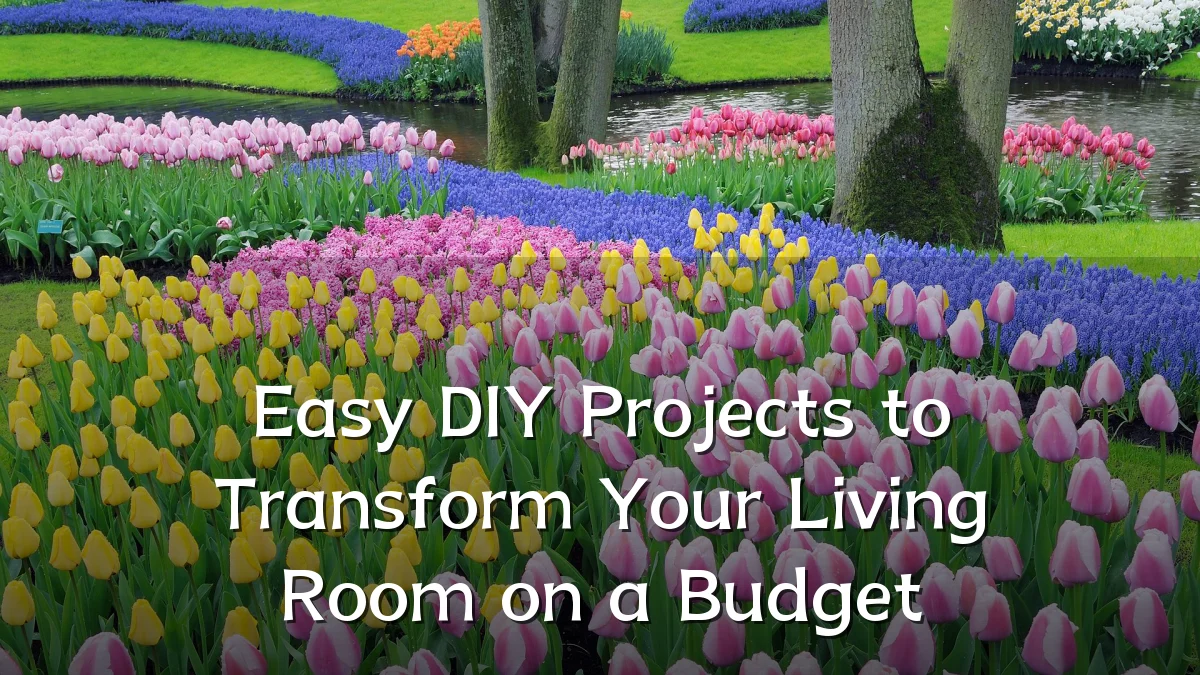 Easy DIY Projects to Transform Your Living Room on a Budget