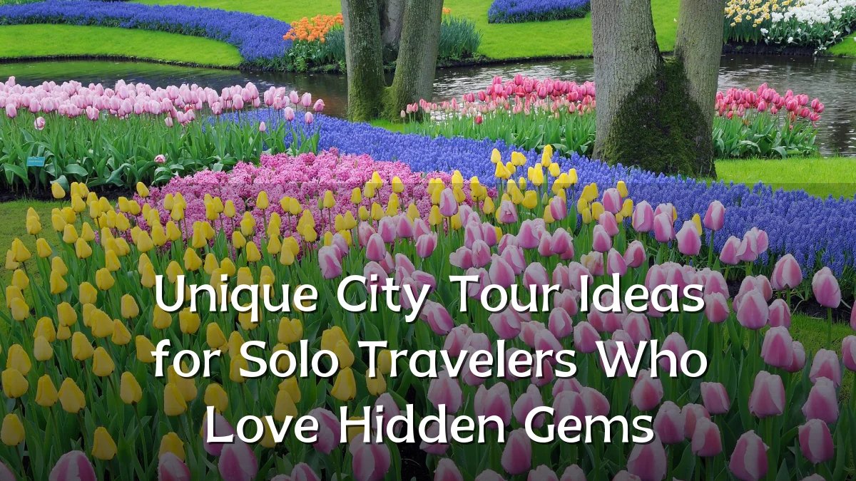 Unique City Tour Ideas for Solo Travelers Who Love Hidden Gems