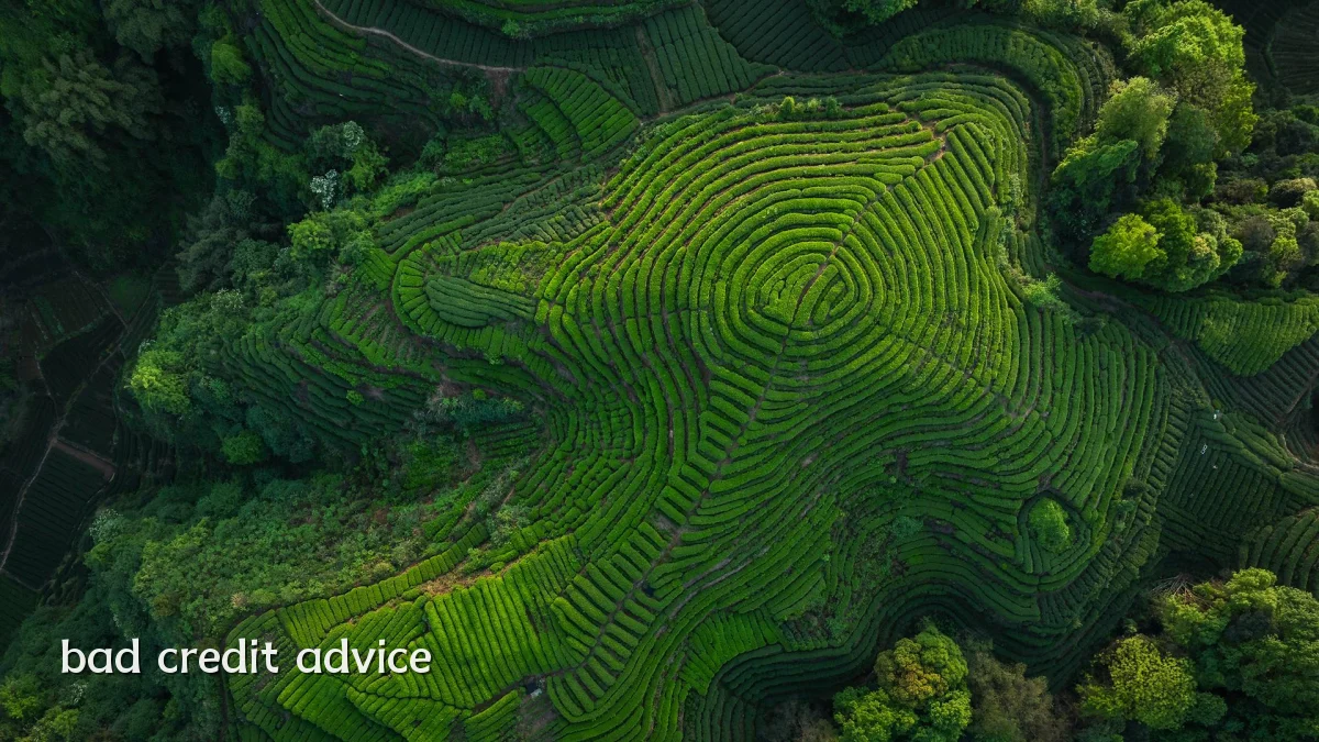 bad credit advice