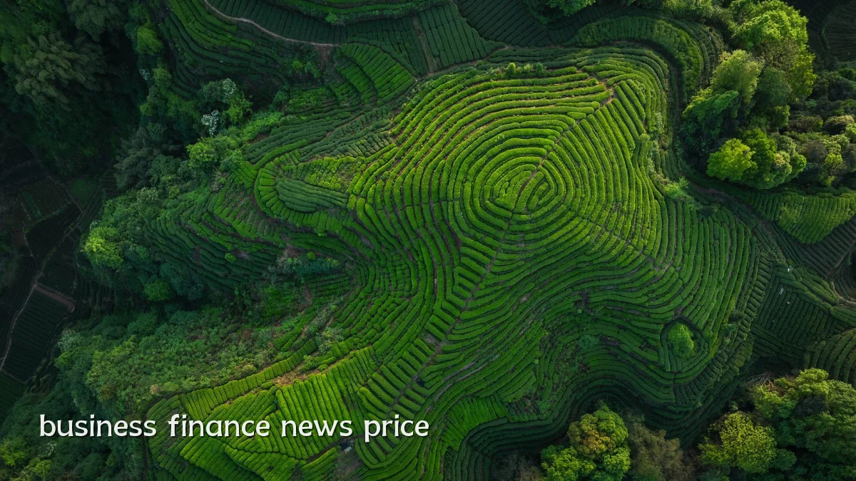 business finance news price