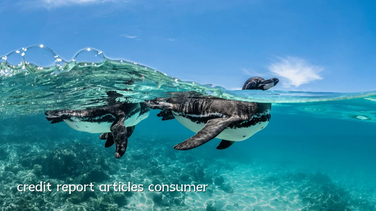 credit report articles consumer