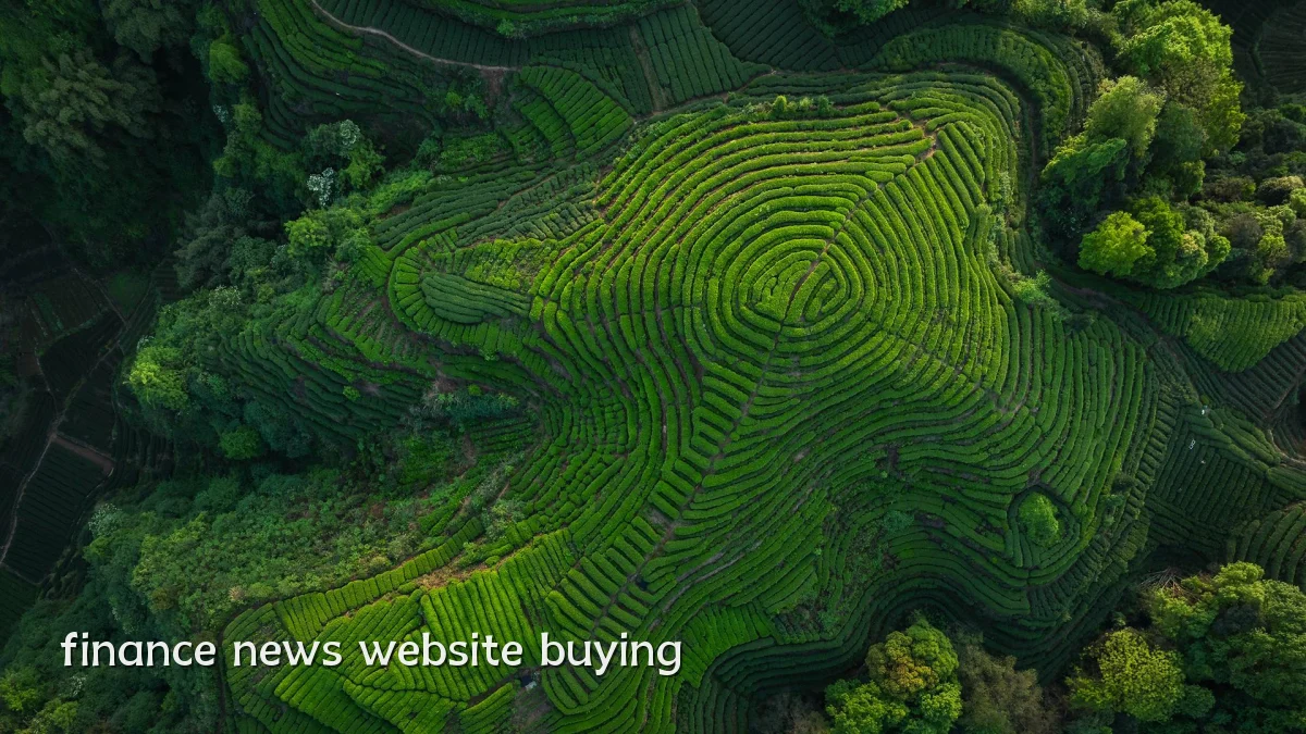 finance news website buying
