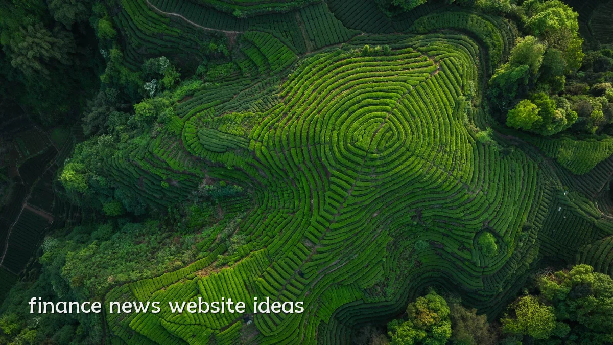 finance news website ideas