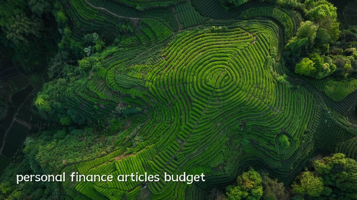 personal finance articles budget