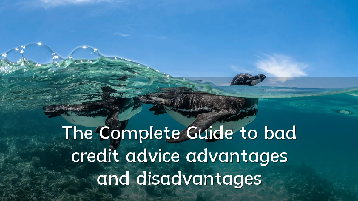 The Complete Guide to bad credit advice advantages and disadvantages