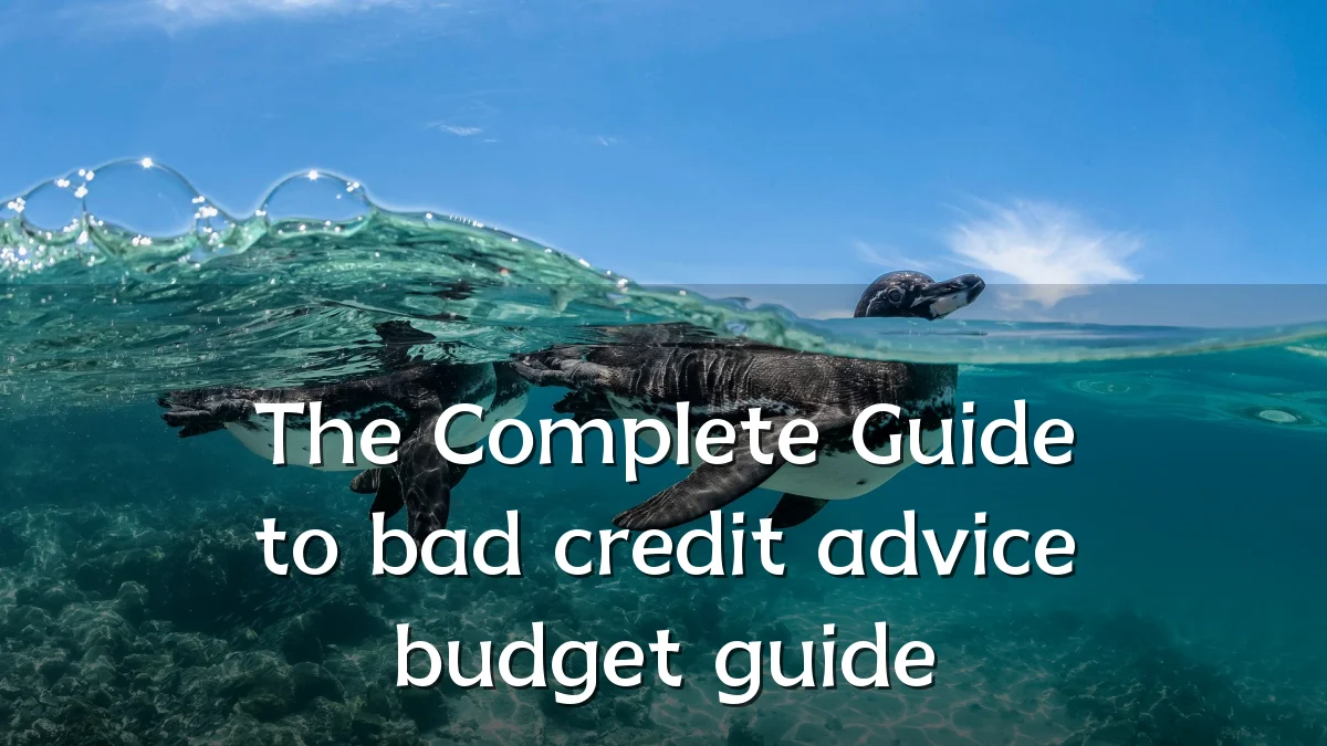 The Complete Guide to bad credit advice budget guide