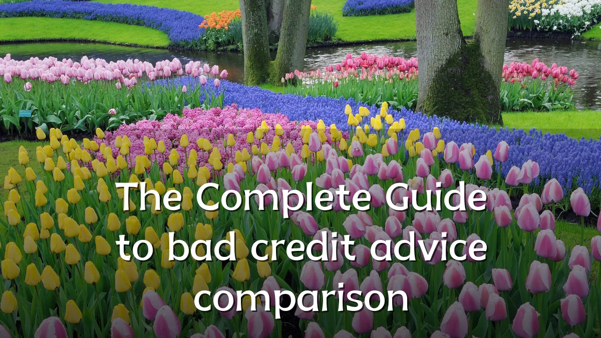 The Complete Guide to bad credit advice comparison