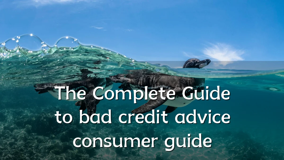 The Complete Guide to bad credit advice consumer guide