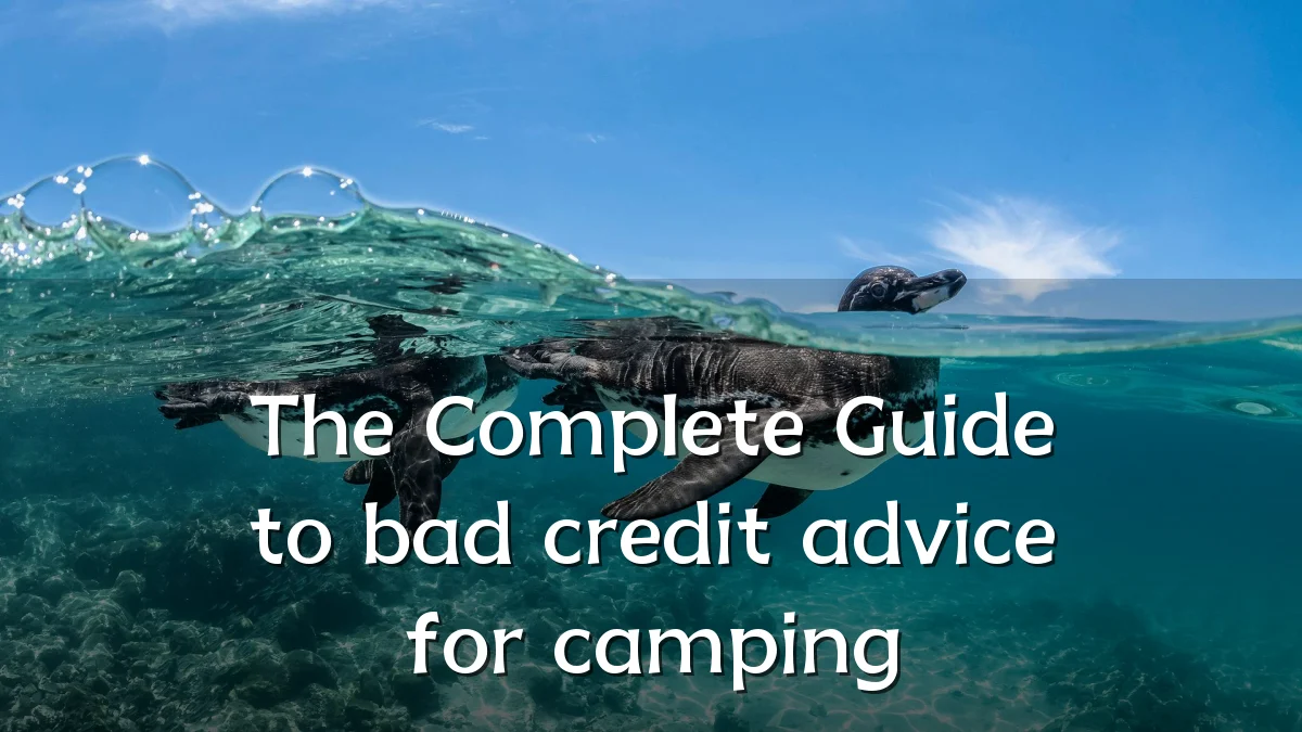 The Complete Guide to bad credit advice for camping