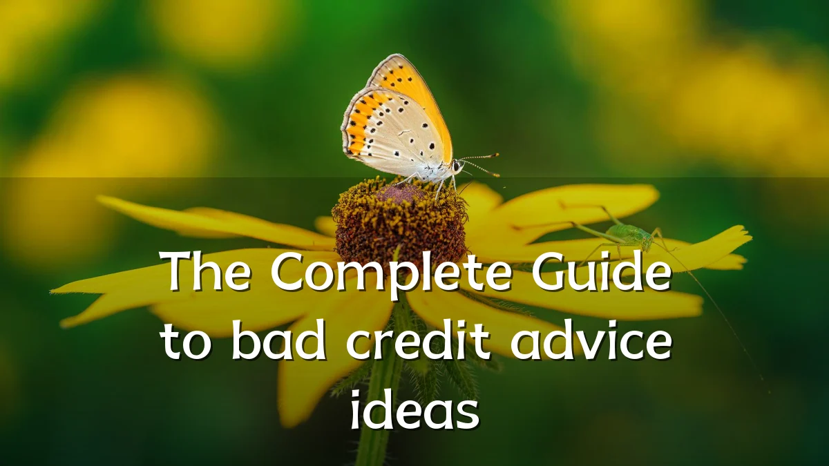The Complete Guide to bad credit advice ideas