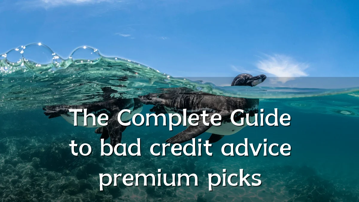 The Complete Guide to bad credit advice premium picks