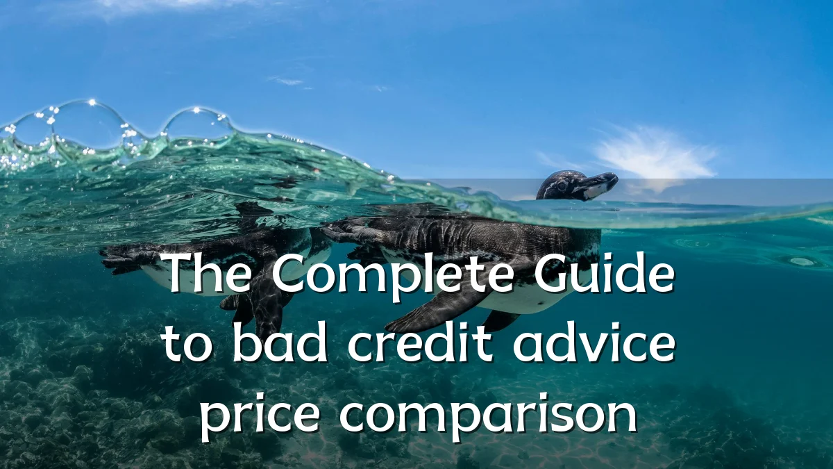 The Complete Guide to bad credit advice price comparison
