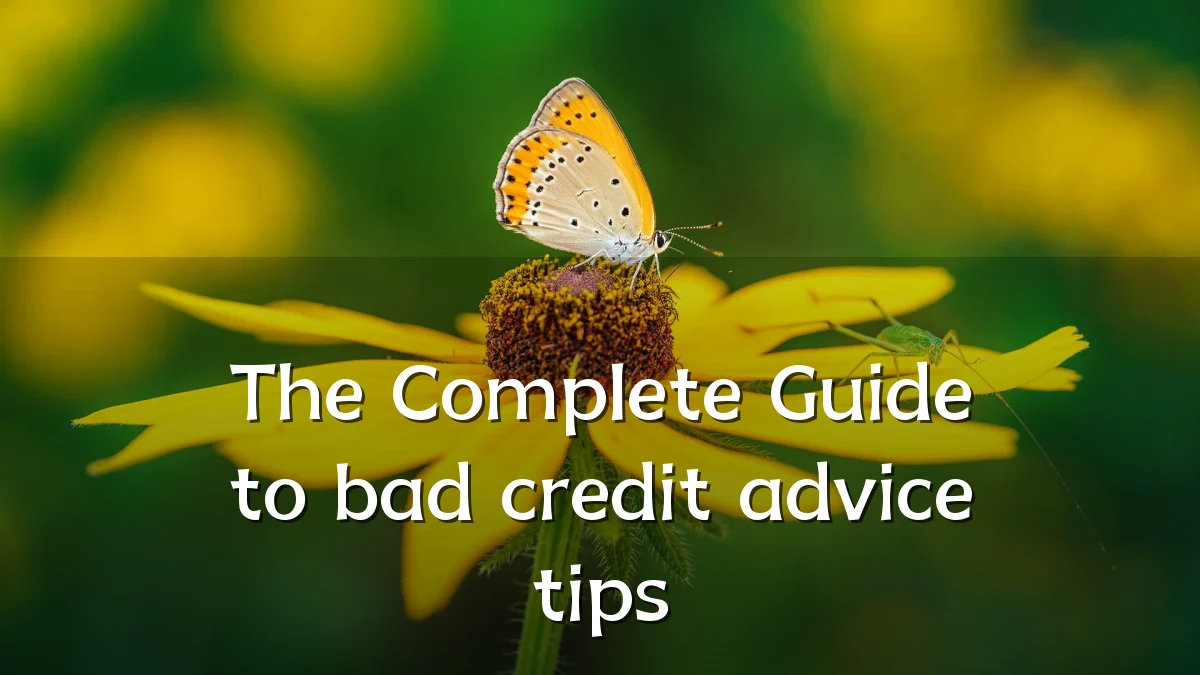 The Complete Guide to bad credit advice tips
