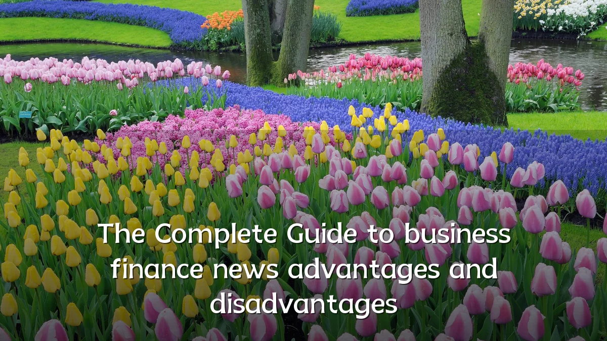 The Complete Guide to business finance news advantages and disadvantages