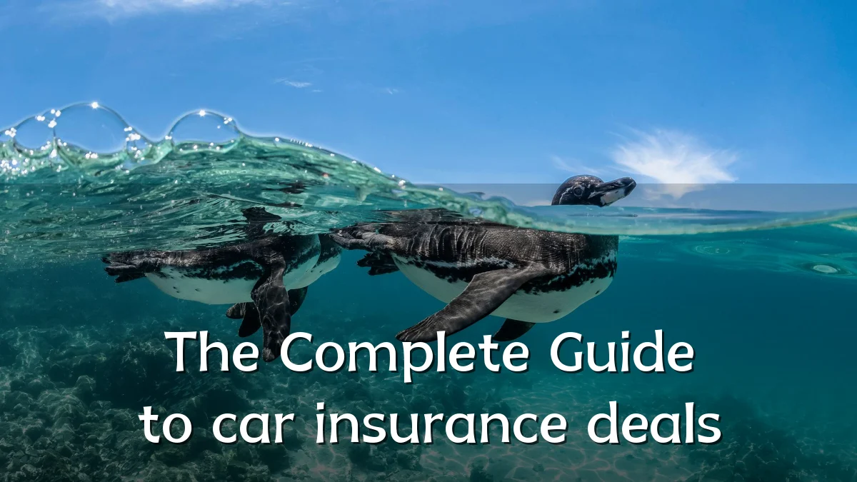 The Complete Guide to car insurance deals