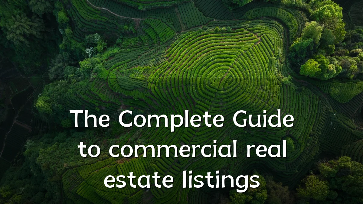 The Complete Guide to commercial real estate listings