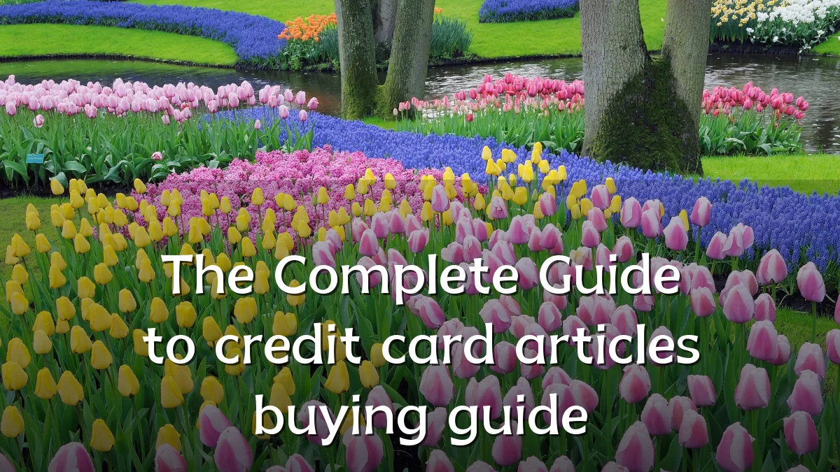 The Complete Guide to credit card articles buying guide