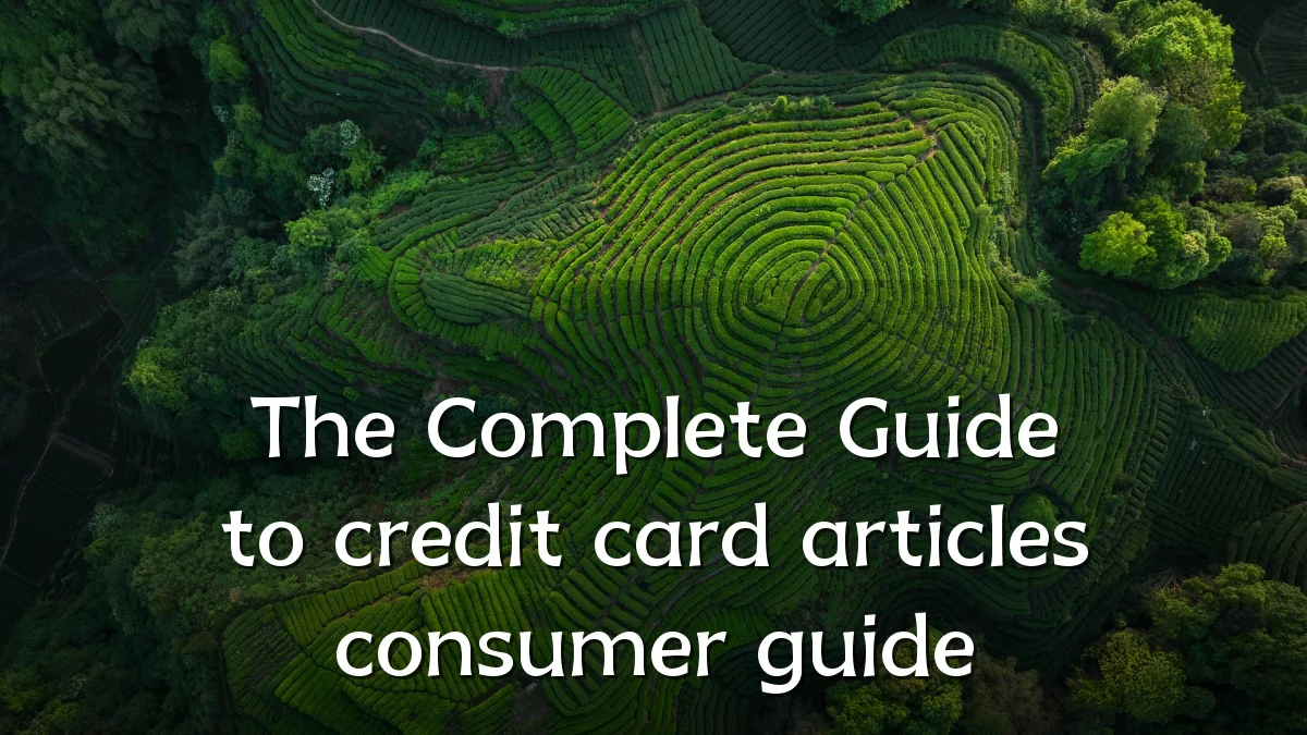 The Complete Guide to credit card articles consumer guide