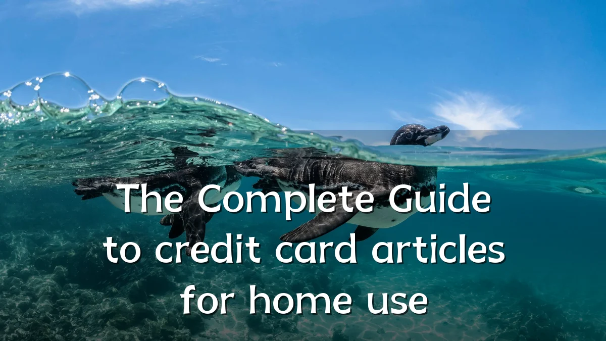 The Complete Guide to credit card articles for home use