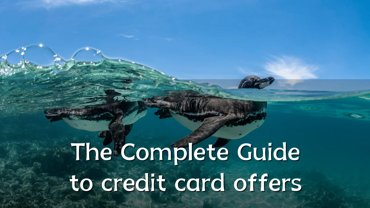 The Complete Guide to credit card offers