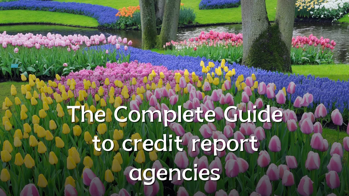 The Complete Guide to credit report agencies