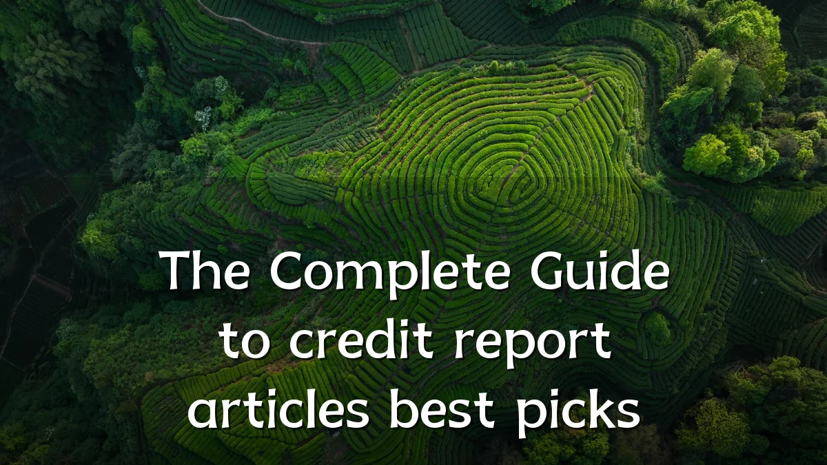 The Complete Guide to credit report articles best picks