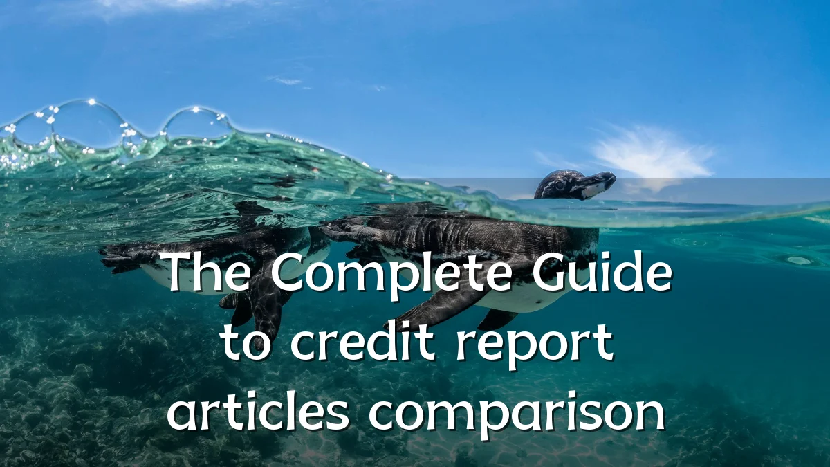 The Complete Guide to credit report articles comparison