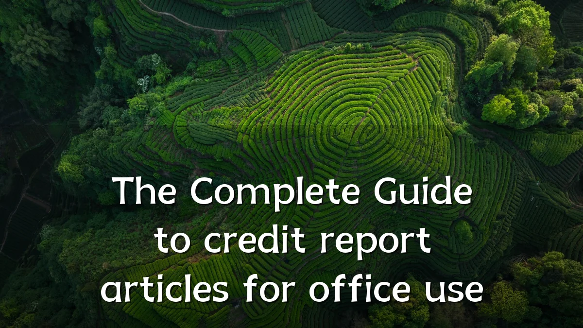 The Complete Guide to credit report articles for office use