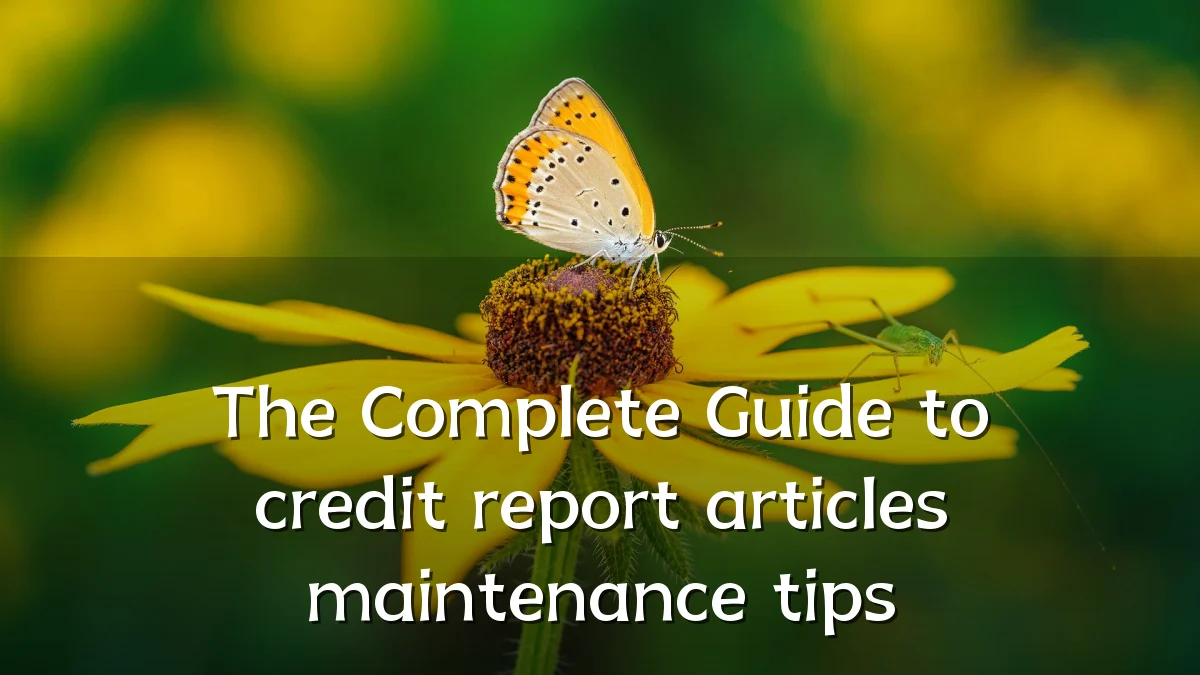 The Complete Guide to credit report articles maintenance tips