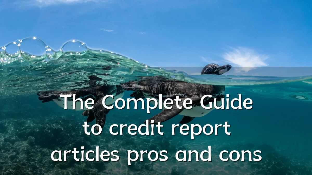 The Complete Guide to credit report articles pros and cons