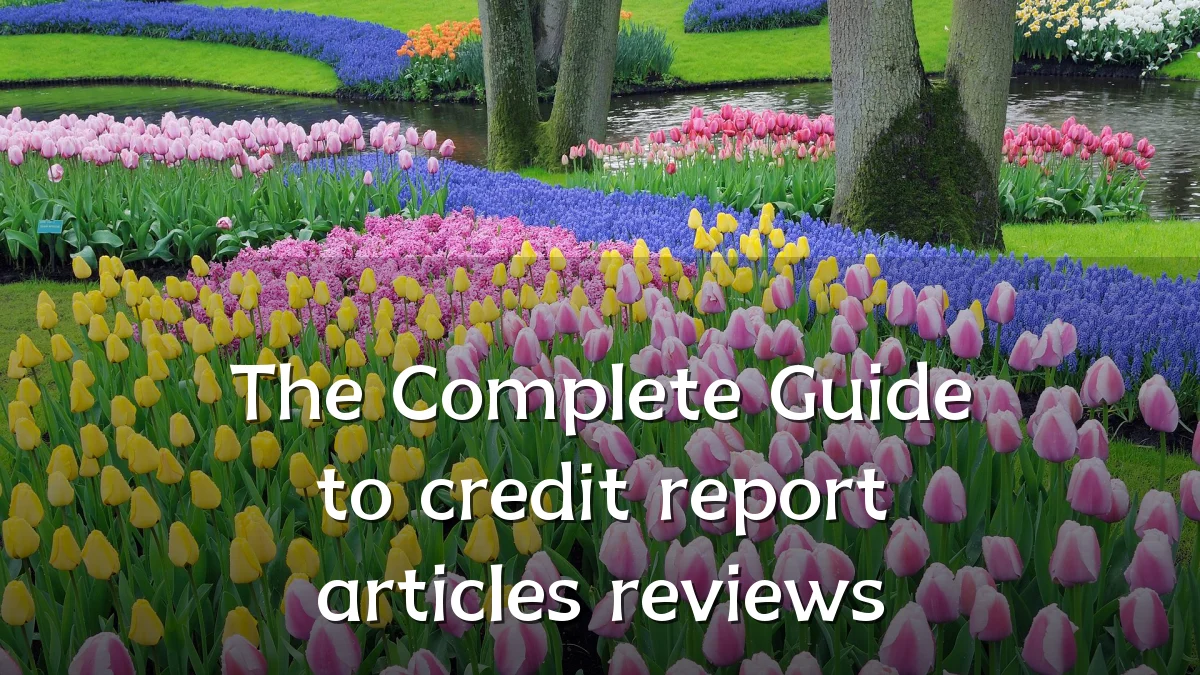 The Complete Guide to credit report articles reviews