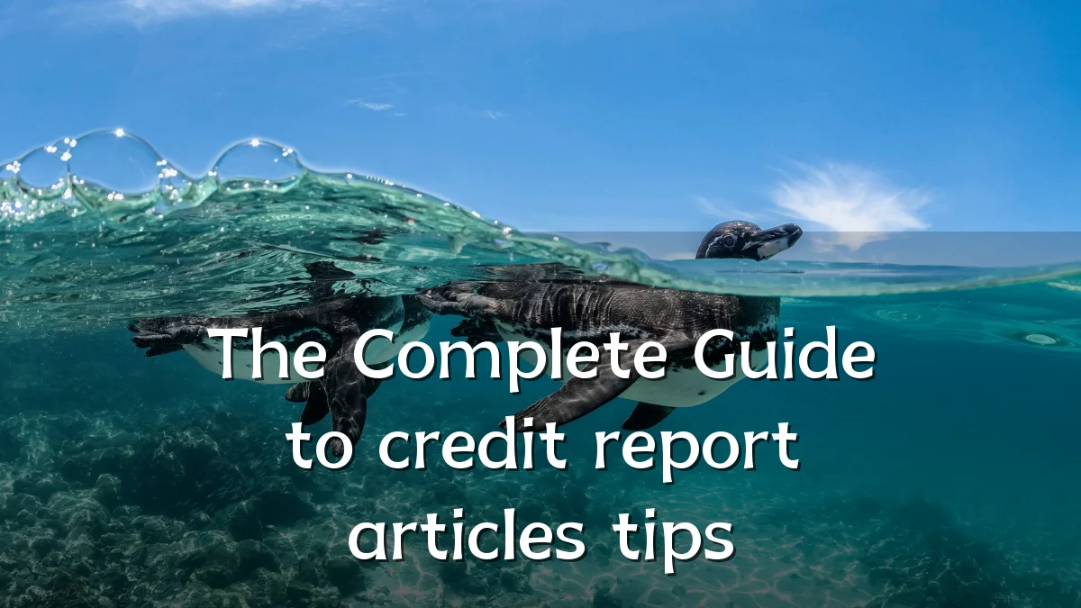 The Complete Guide to credit report articles tips