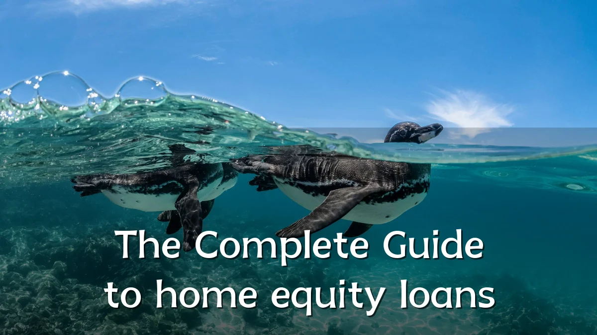 The Complete Guide to home equity loans