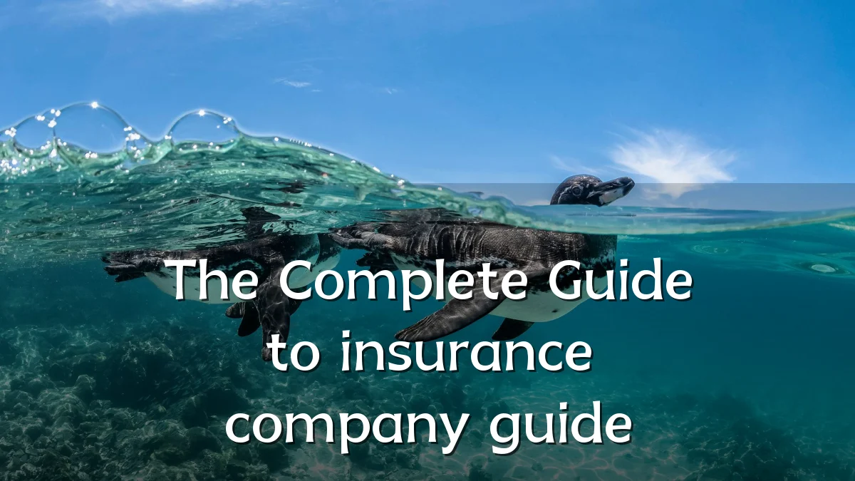 The Complete Guide to insurance company guide