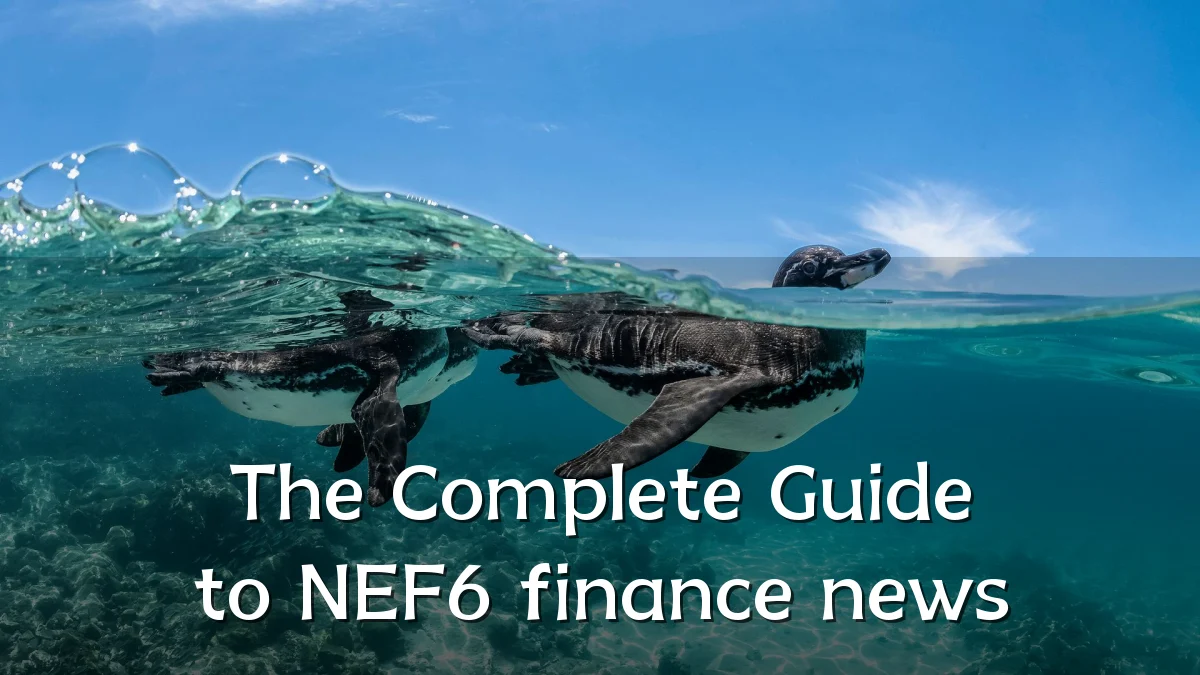 The Complete Guide to NEF6 finance news