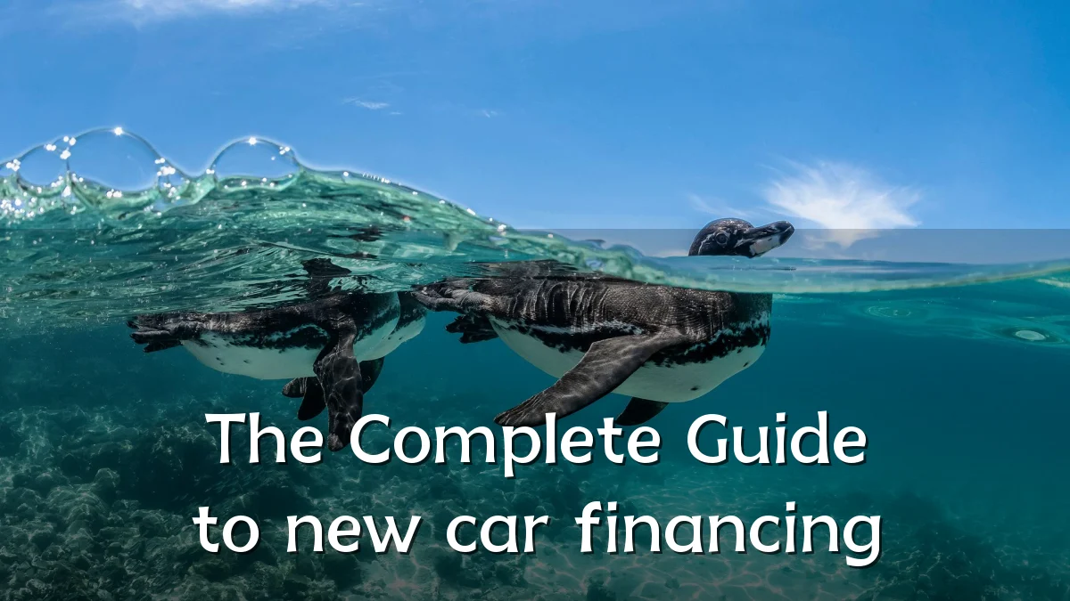 The Complete Guide to new car financing